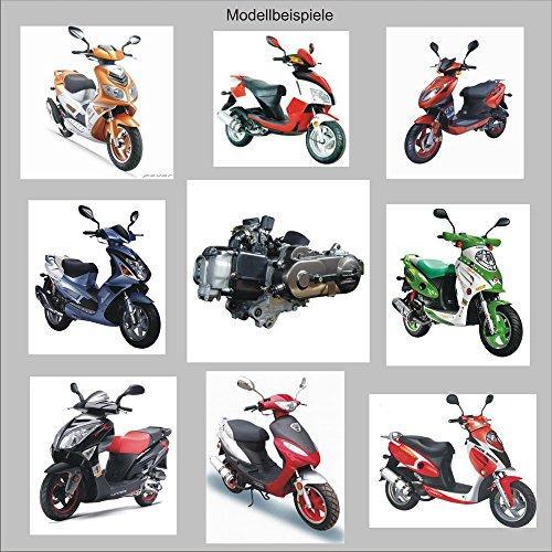 OIL SEAL OIL SHAFT RING 6 PIECE SET 50-125-150CC SCOOTER MOPED ATV GY6 PARTS 4 STROKE TAOTAO JONWAY BMS PEACE ROKETA ZNEN PEACE JMSTAR SUNL VIP BENZHOU BAJA JINLUN .... - TaoTao Parts Direct