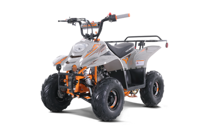 TaoTao 110cc Kids ATV (B1)