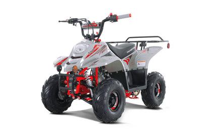 TaoTao 110cc Kids ATV (B1)