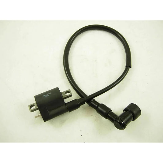 Rhino 250 Ignition Coil - TaoTao Parts Direct