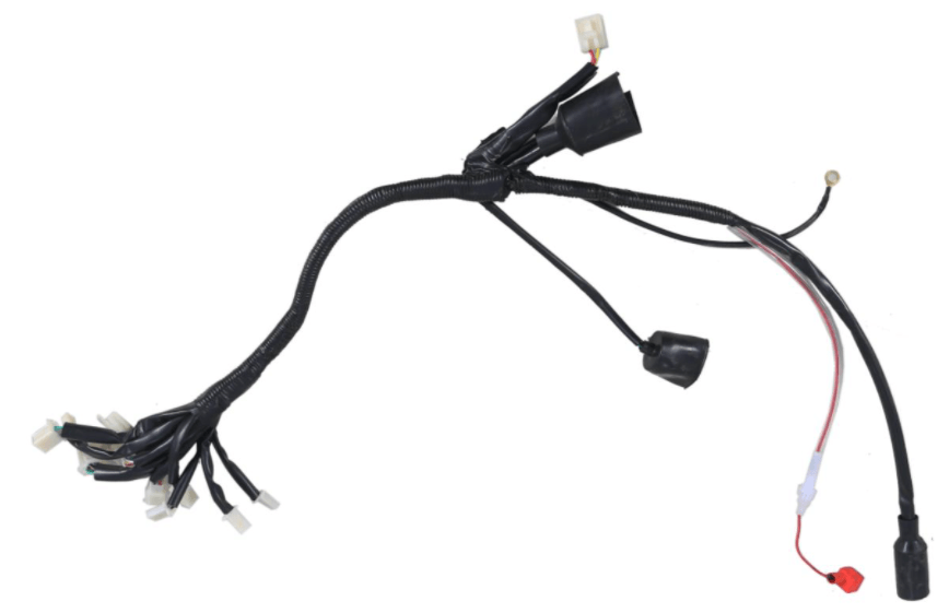 Raptor Wire Harness - TaoTao Parts Direct