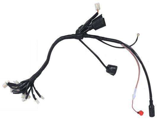 REX Wire Harness - TaoTao Parts Direct