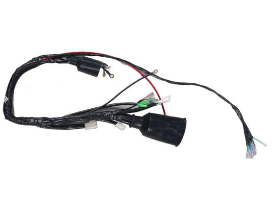 TBR7 Wire Harness - TaoTao Parts Direct