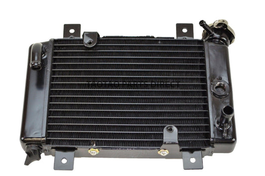 Radiator For 250cc - TaoTao Parts Direct